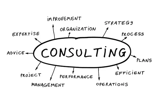 IT Consulting & Projects